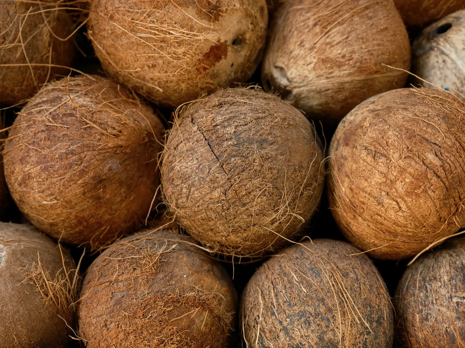 Husked coconuts piled together